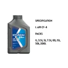 hyundai xteer hd3000 img 2